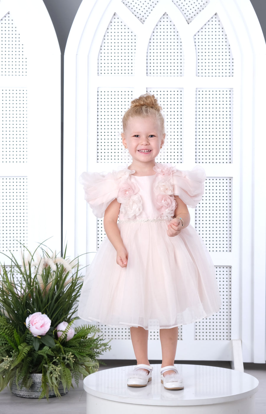 Flower Girls Dress baby Pink 3156