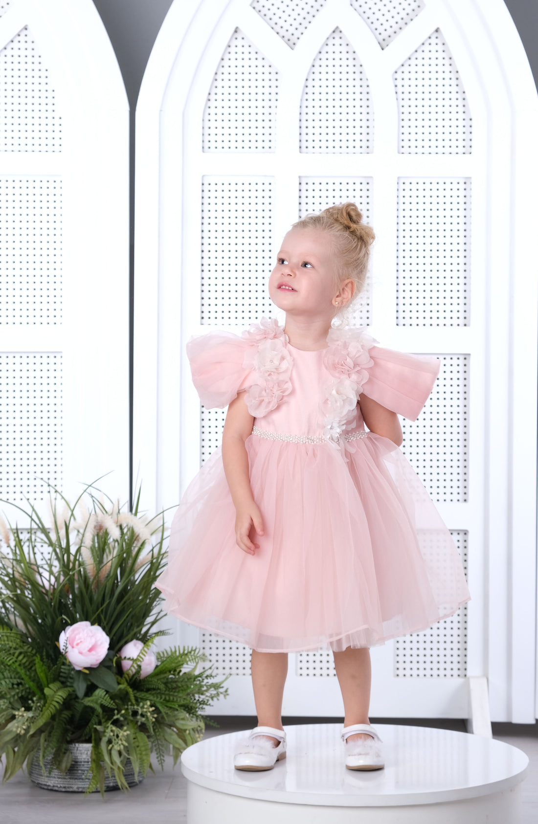 Flower Girls Dress Pink 3156