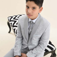 Boys Gray Suit 9079