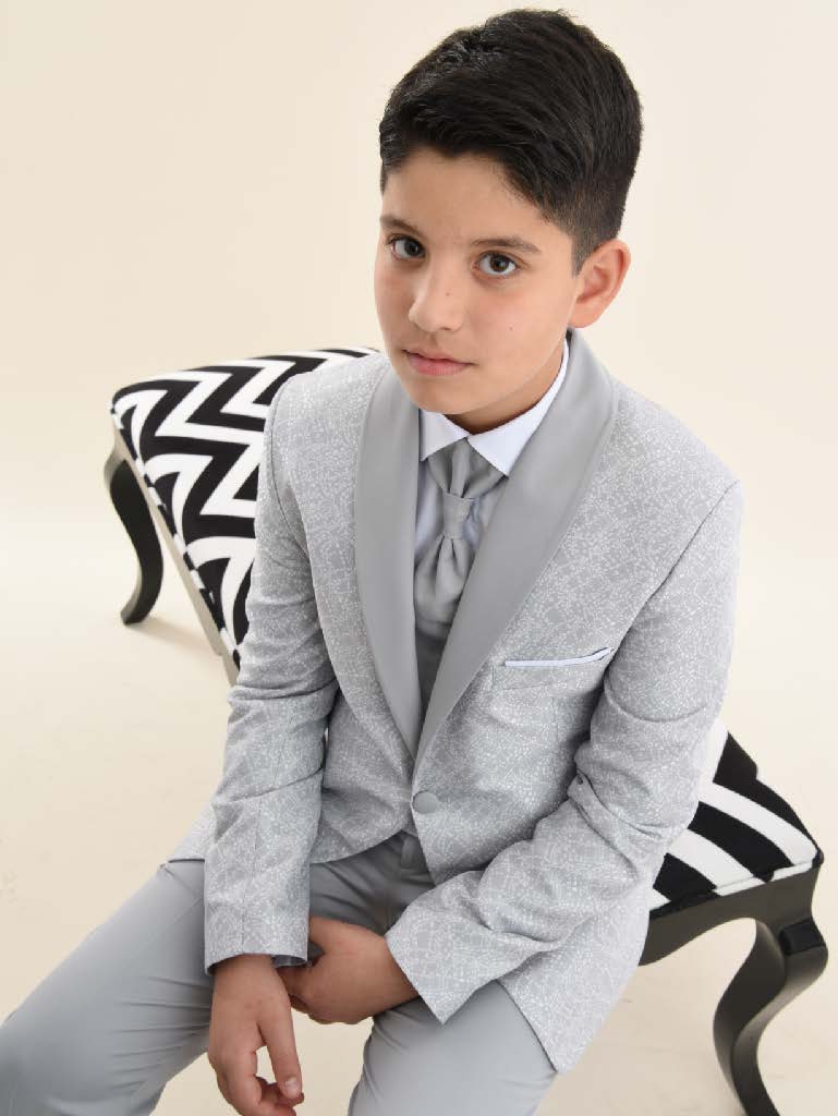 Boys Gray Suit 9079