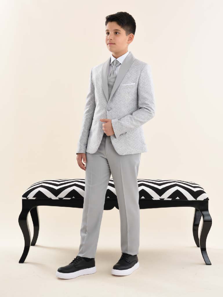 Boys Gray Suit 9079