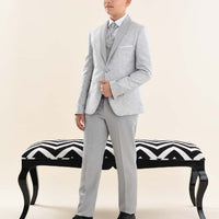 Boys Gray Suit 9079